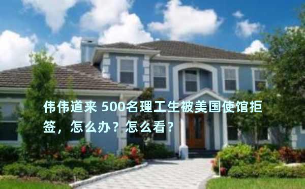 伟伟道来 500名理工生被美国使馆拒签，怎么办？怎么看？